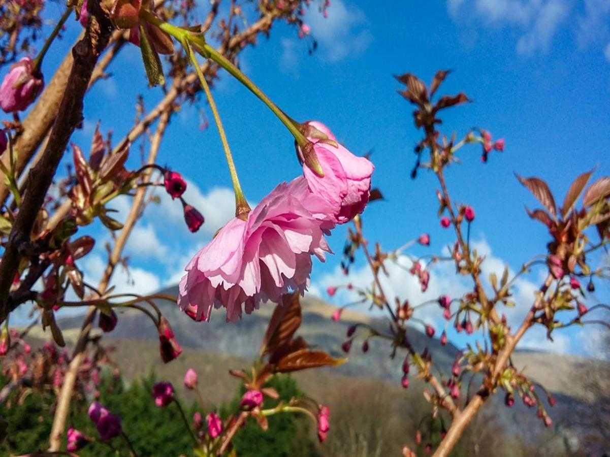 Padarn Hotel Llanberis Kültér fotó